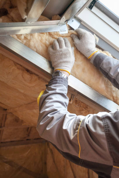 Best Insulation Installation Cost  in Irvine, CA