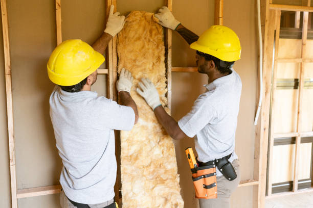 Best Residential Insulation Services  in Irvine, CA