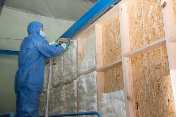 Best Affordable Insulation Services  in Irvine, CA